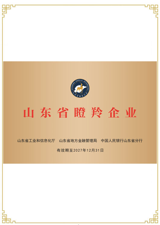 山東省瞪羚企業(yè)